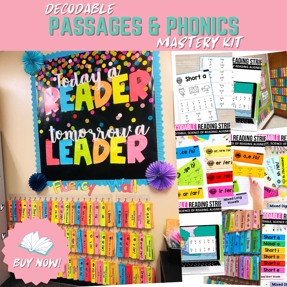 Comprehensive Decodable Words and Sentences Strips Bundle